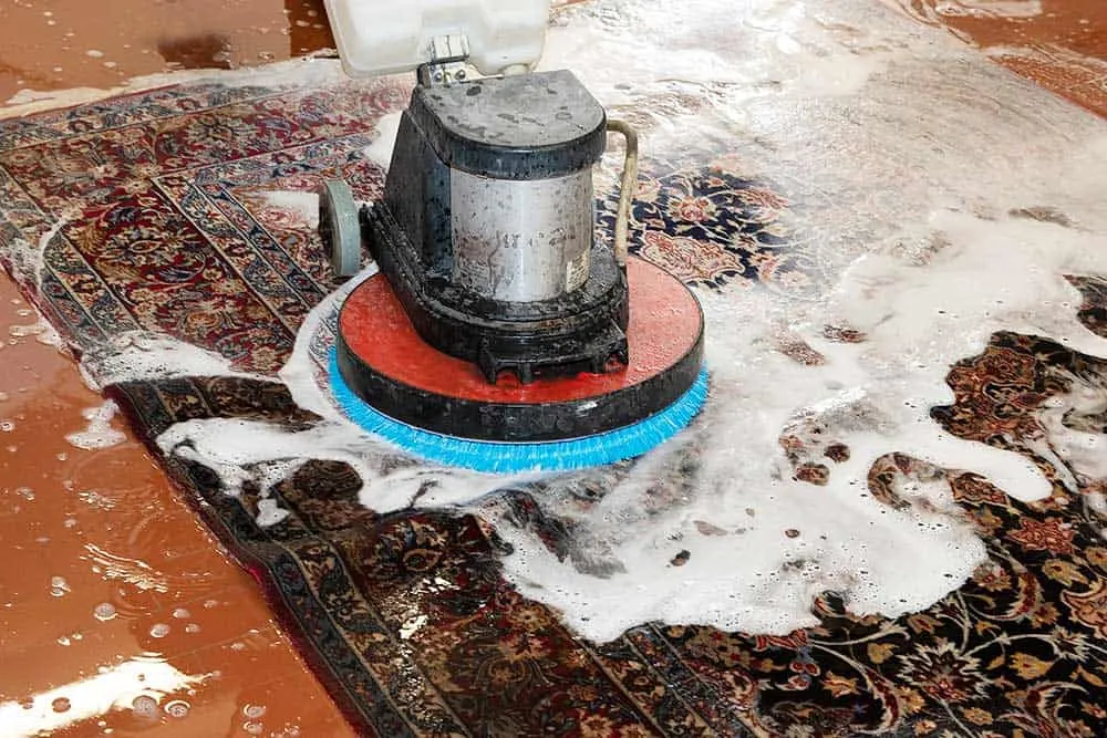Lavaggio tappeti nel laboratorio di Galleria Tabriz